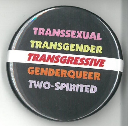 Download the full-sized image of Transsexual Transgender Transgressive Genderqueer Two-Spirited