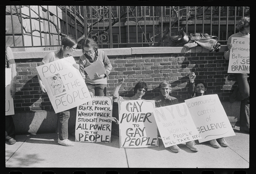 Download the full-sized image of Sylvia Rivera Holds Sign With Protesters Against Brick Wall