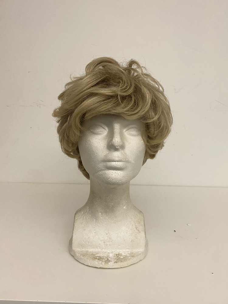 Download the full-sized PDF of Photo of Cool-Toned Blonde Wig