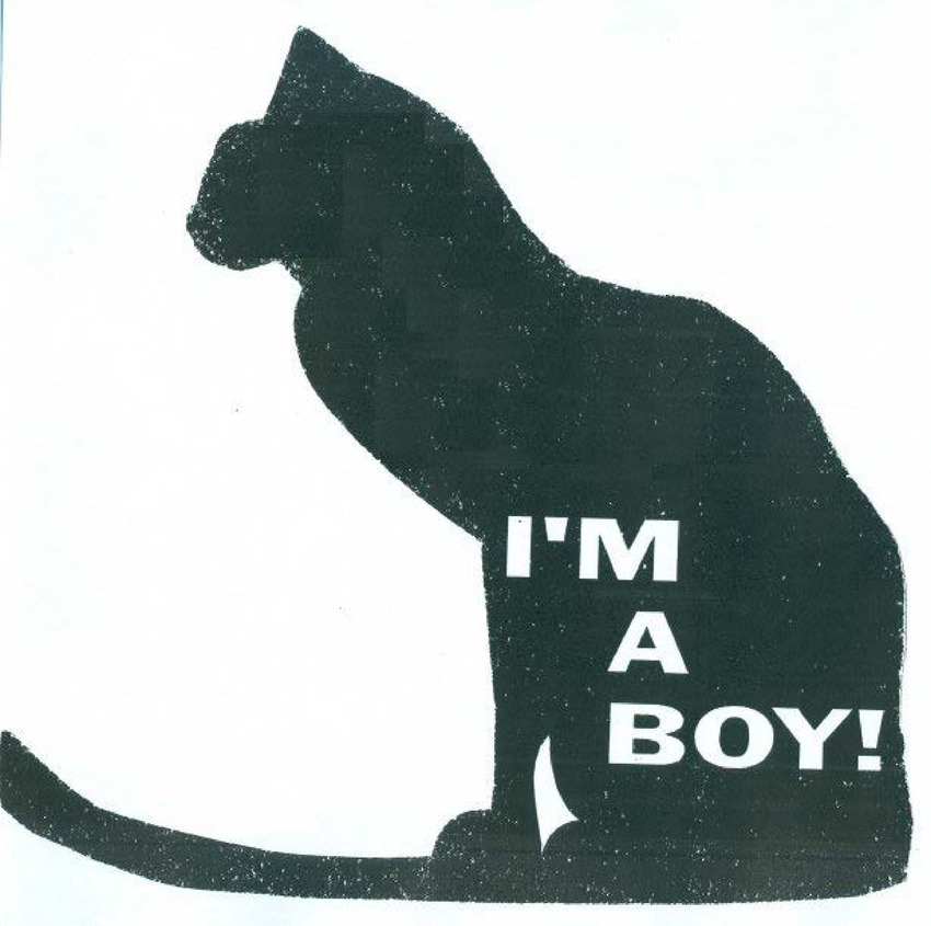 Download the full-sized PDF of I’m A Boy!