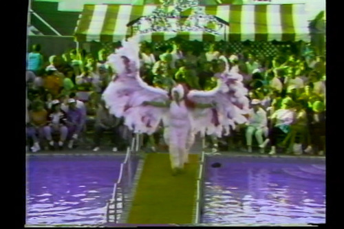 Download the full-sized image of Gay Morning America Show Excerpt: Miss Fire Island 1985